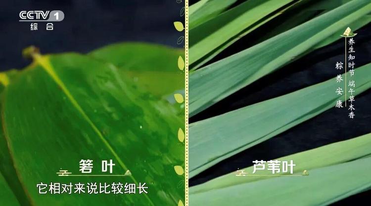 首搭第六代骁龙8超级至尊版!一加16安兔兔跑分出炉 超538万
